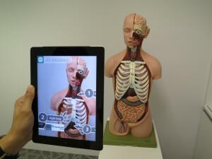 Augmented Reality Anwendung für Anatomie